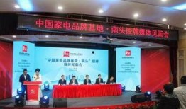 南头镇最新爆料消息今天,揭秘今日热点事件背后的真相