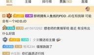 沈猛最新爆料直播间在哪,揭秘直播间神秘面纱