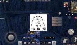 灰机爆料最新视频,高空视角下的震撼瞬间