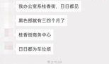 沙头最新爆料,最新爆料背后的惊人真相