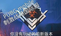 pubg手游体验服最新爆料,pubg手游体验服新爆料，全新玩法与优化等你来体验！