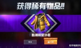 最新爆料军需币皮肤,最新爆料带你领略独特魅力